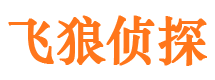 泰山捉小三公司